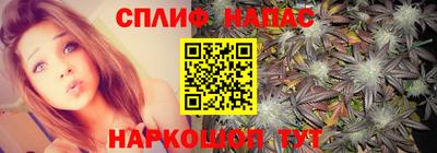 дживик Дубна
