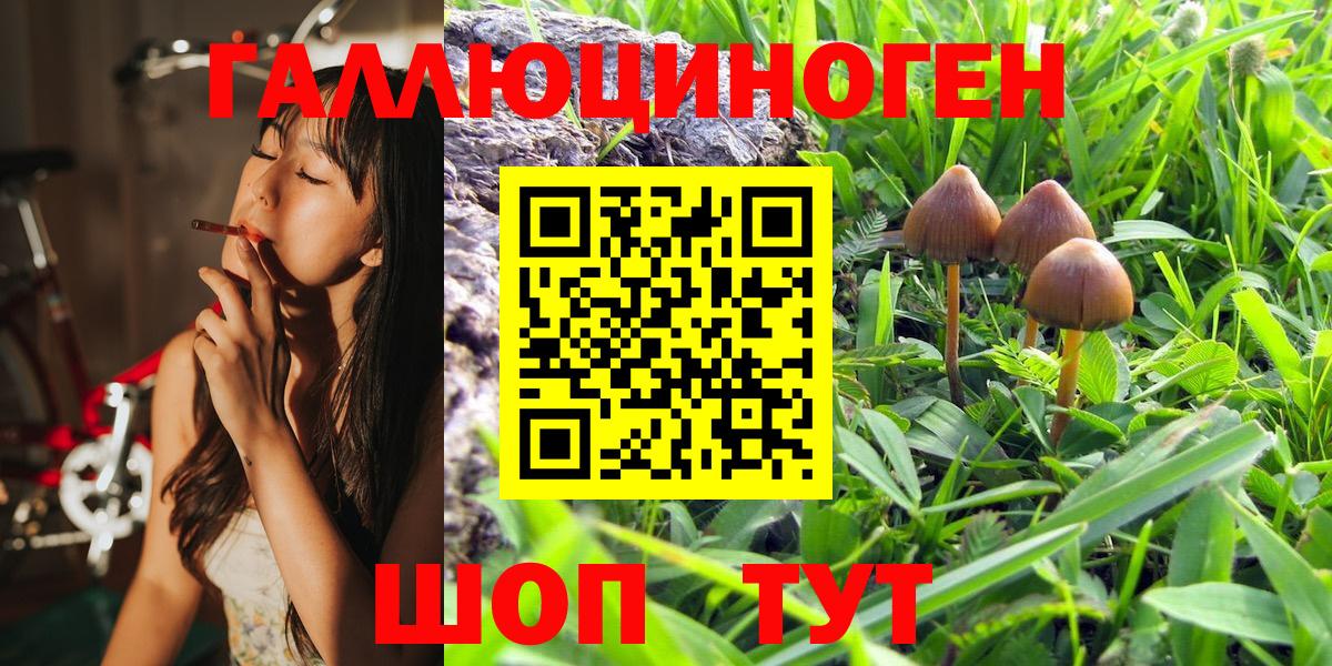 Псилоцибиновые грибы Magic Shrooms Луховицы