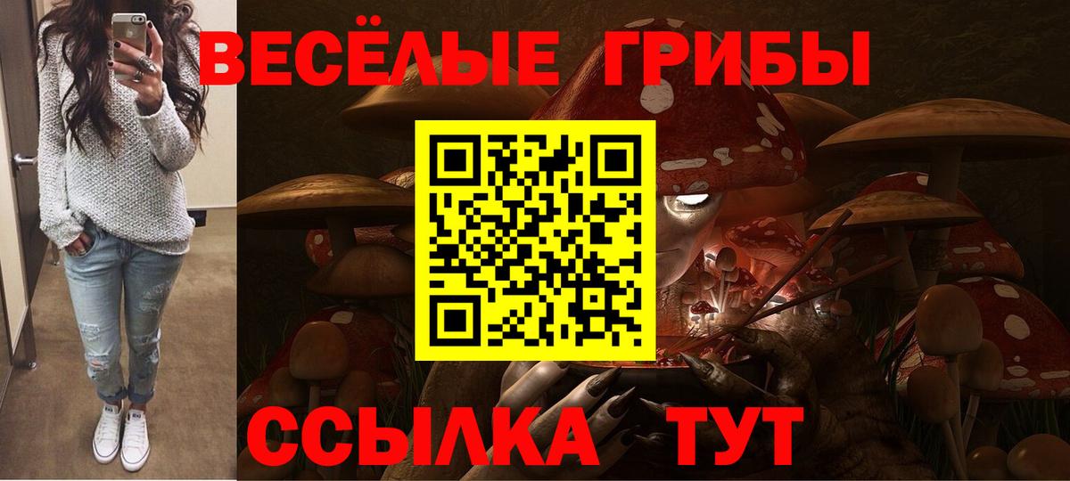 Псилоцибиновые грибы прущие грибы  сколько стоит  Луховицы  Вход с VPN  Псилоцибиновые грибы ЛСД 