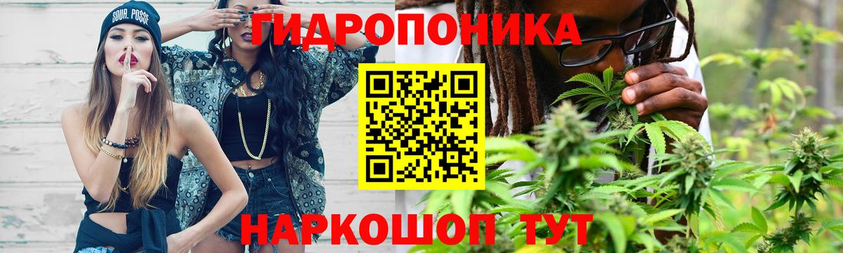 Бошки марихуана планчик  Канабис THC 21%  Луховицы  Вход с VPN  Марихуана план 